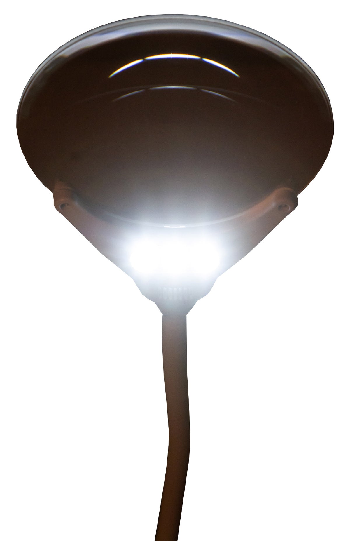 Lente d’ingrandimento Levenhuk Zeno Lamp ZL7