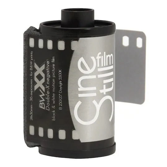 Cinestill Bwxx (Doppia X) ISO 250 135 36 pose