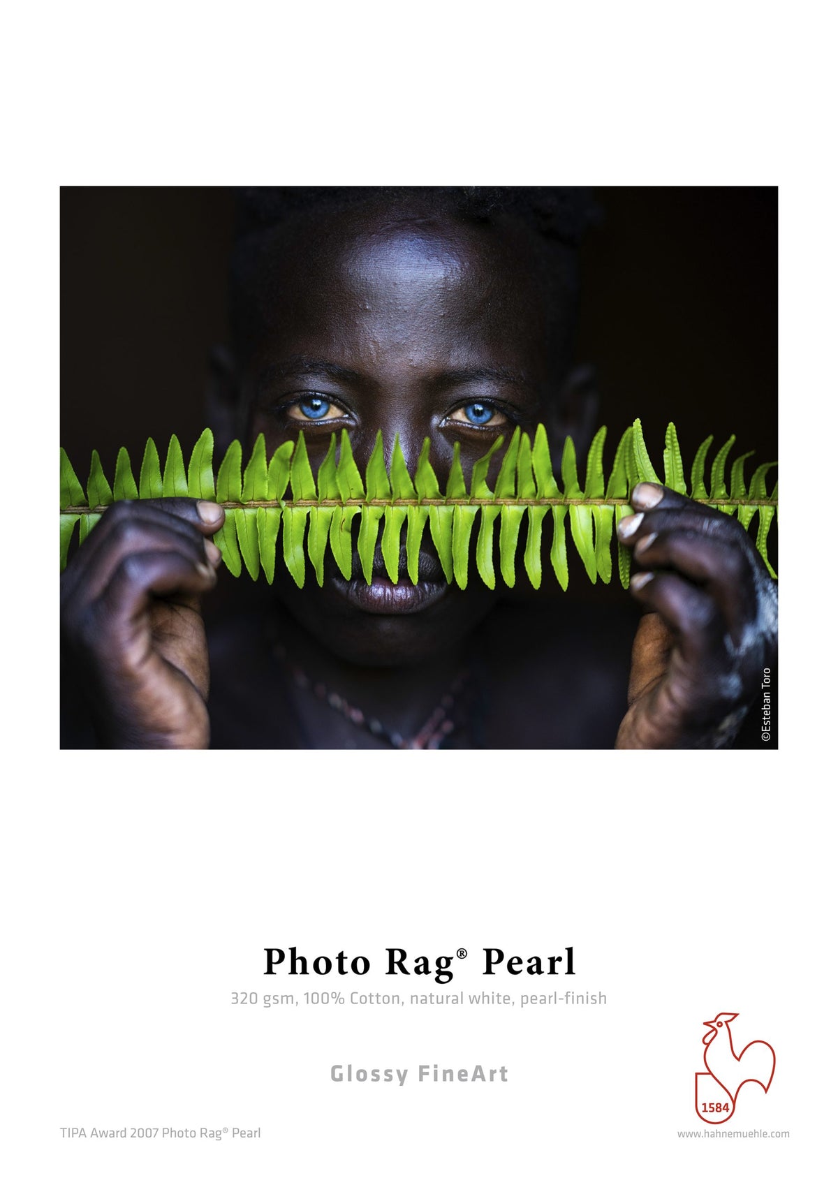 Hahnemuhle Photo Rag  Pearl  gr320  cm112x12m