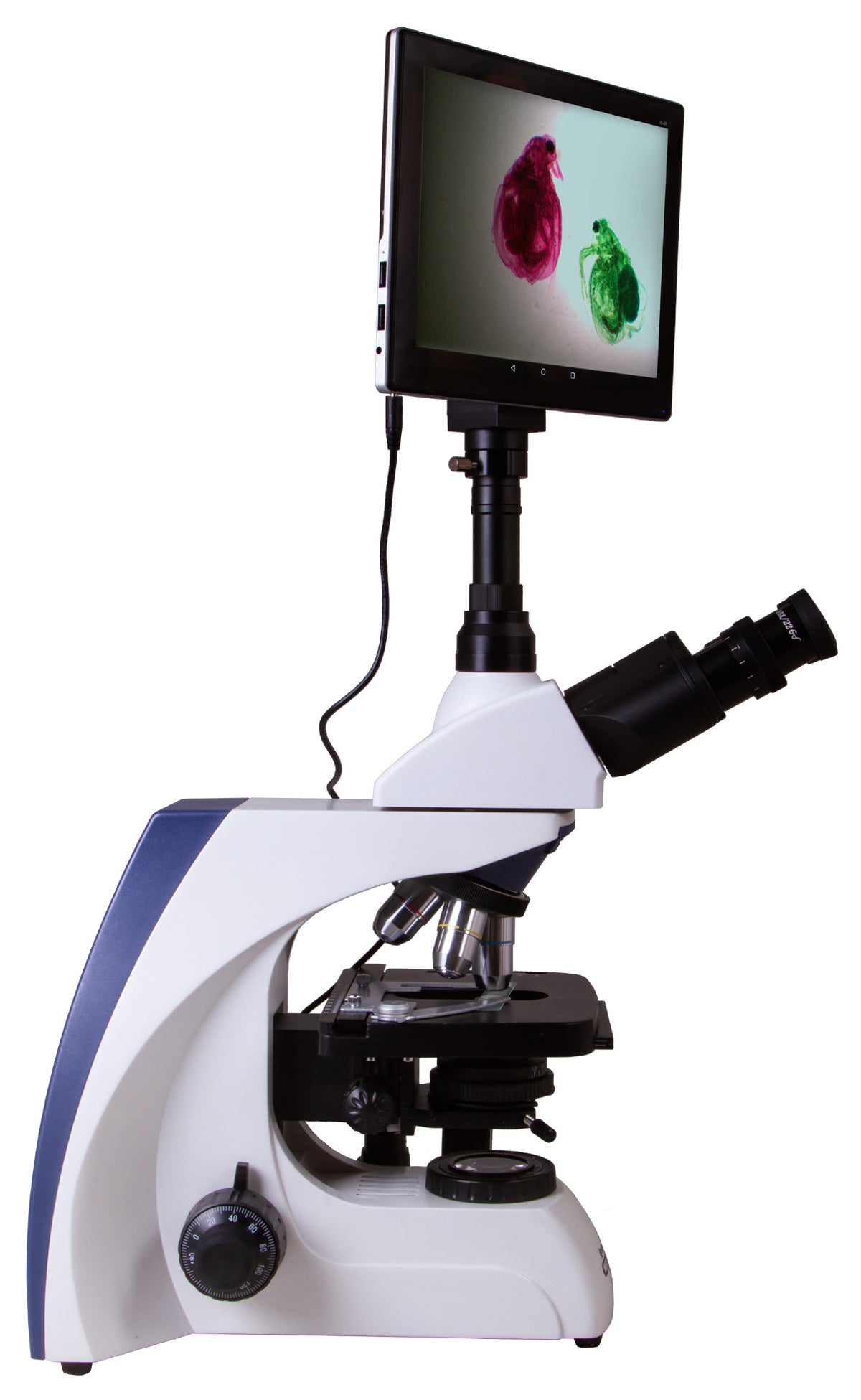 Microscopio trinoculare digitale Levenhuk MED D30T LCD
