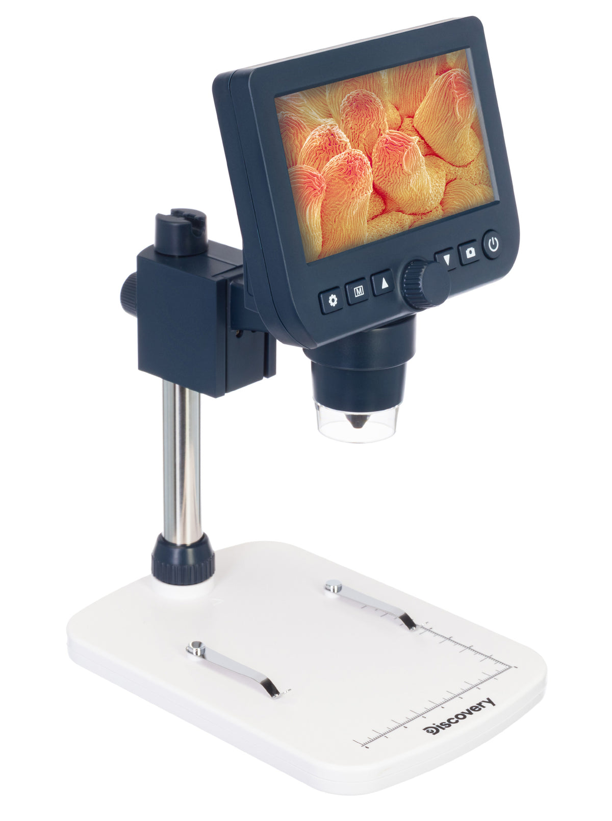 Microscopio digitale Discovery Artisan 64