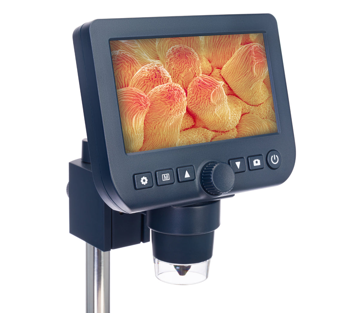 Microscopio digitale Discovery Artisan 64