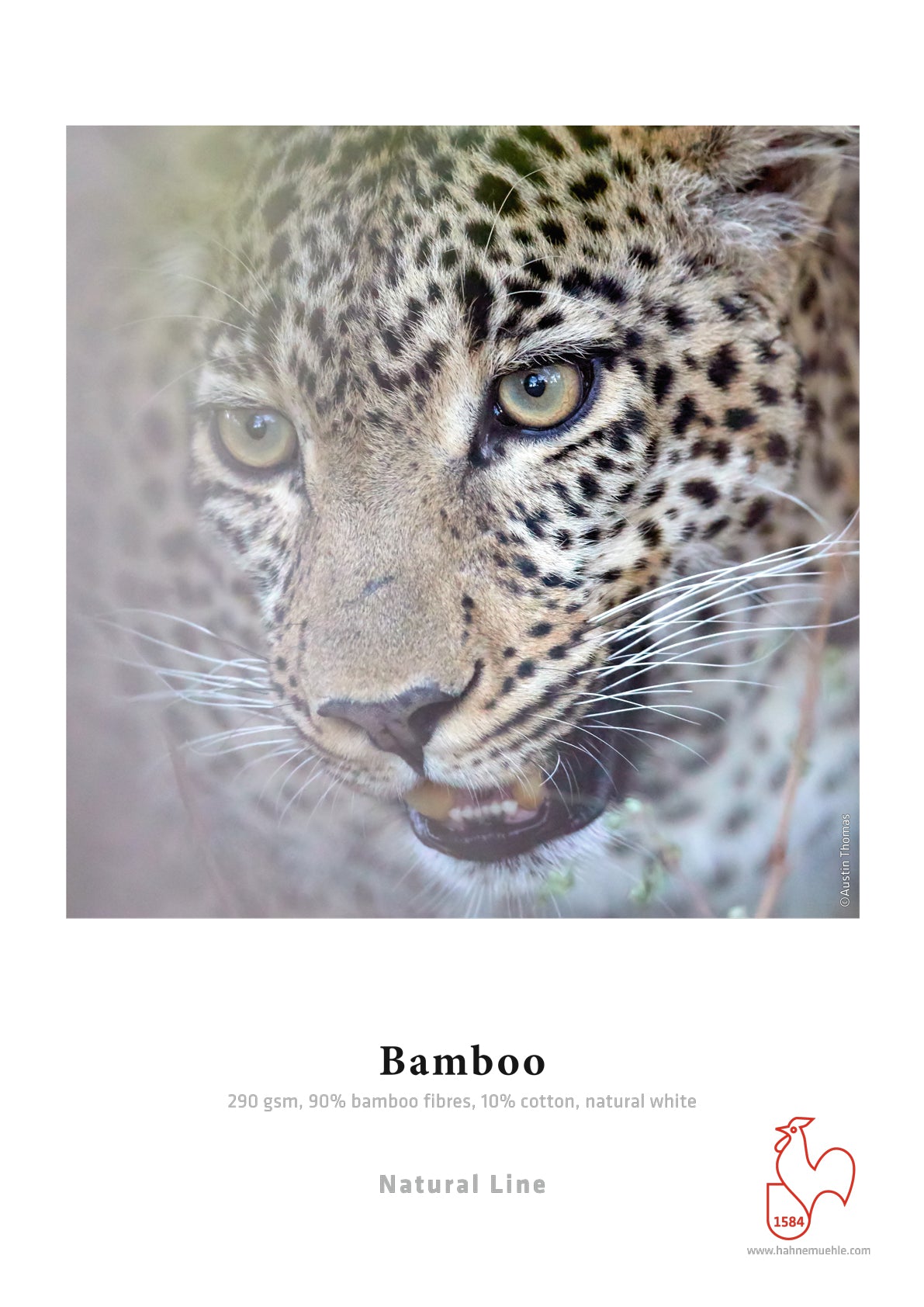 Hahnemuhle Natural Line Bamboo gr290  bobina test cm61x5m