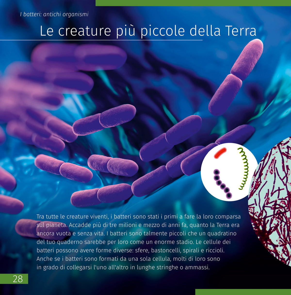 Spazio. Microcosmo. Libro educativo in 2 volumi, copertina rigida