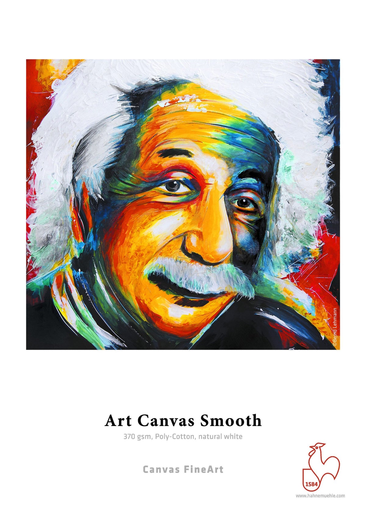Hahnemuhle Art Canvas Smooth gr370 cm61x12m