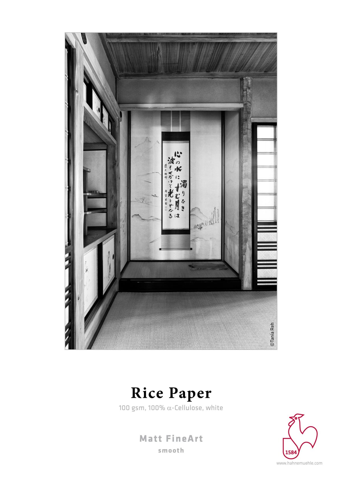 Hahnemuhle Rice Paper gr100  cm112x30m