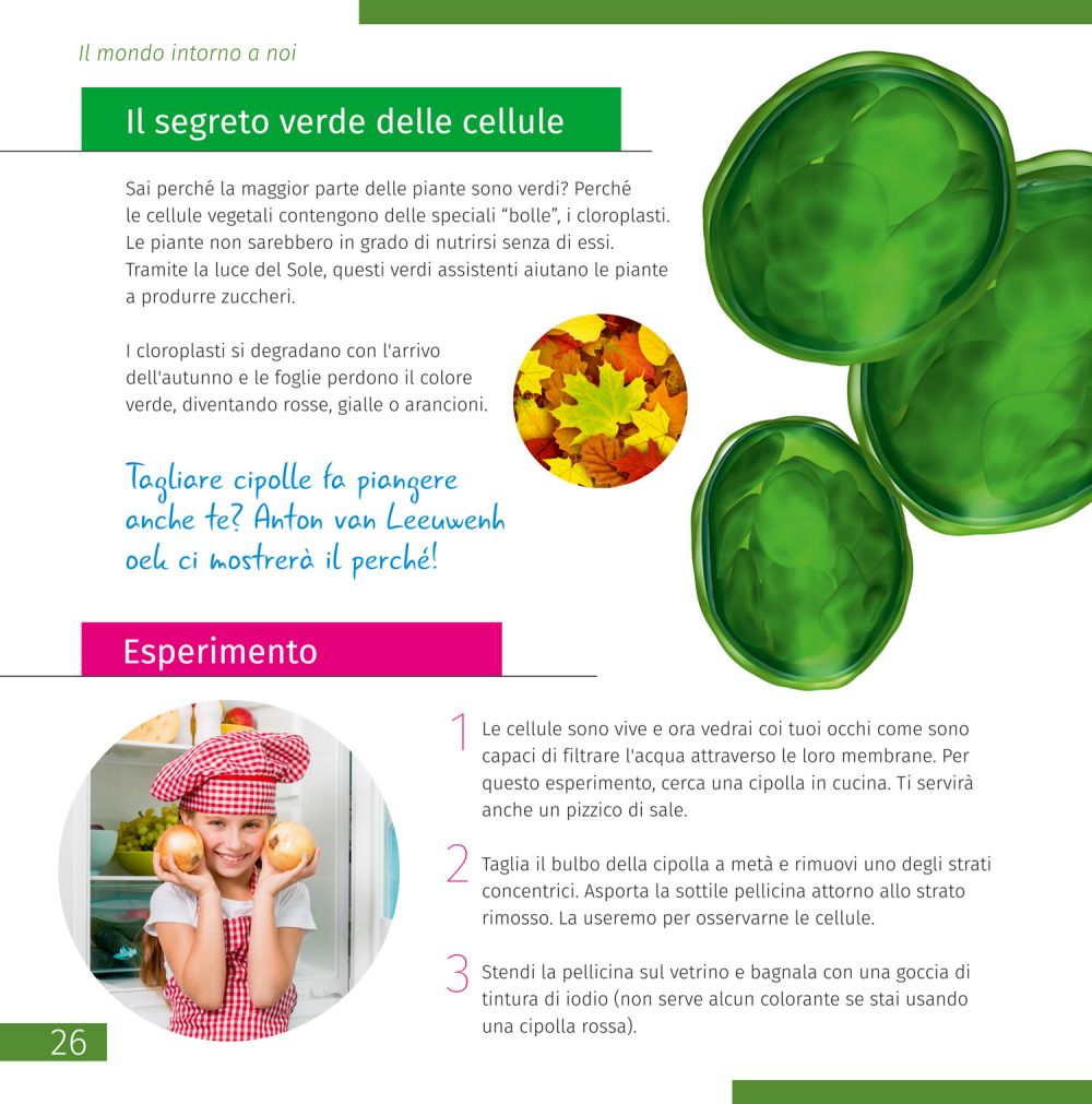 Microscopio Discovery Centi 02 con libro