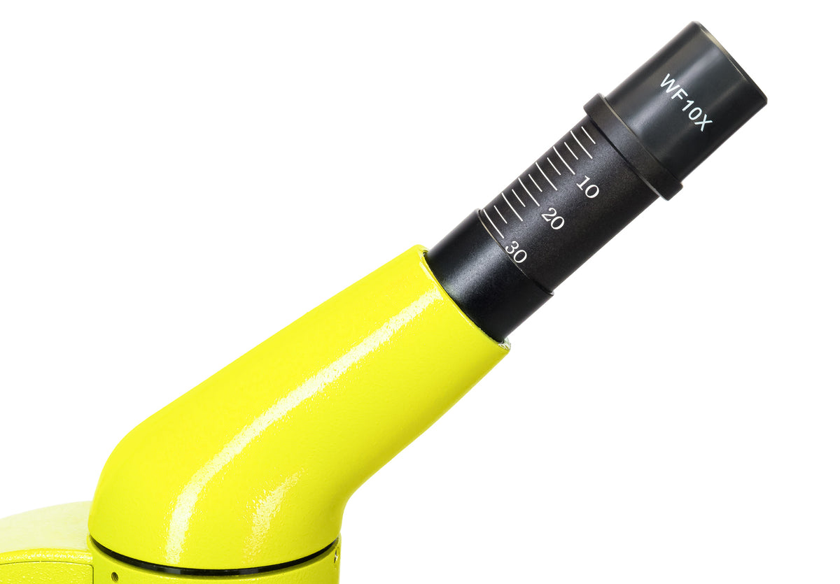 Microscopio Levenhuk Rainbow 50L