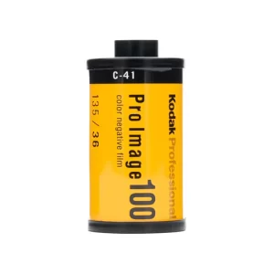 Kodak Pro Image 100 ( 1 Rullino )