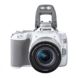 Canon EOS 250D + 18-55mm F4-5.6 IS STM – Garanzia Canon Italia