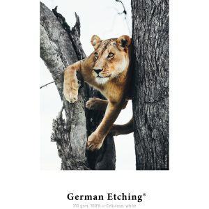 Hahnemuhle German Etching gr310  cm61x12m