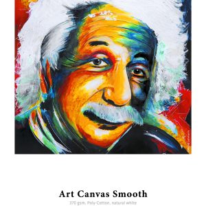 Hahnemuhle Art Canvas Smooth gr370 cm112x12m