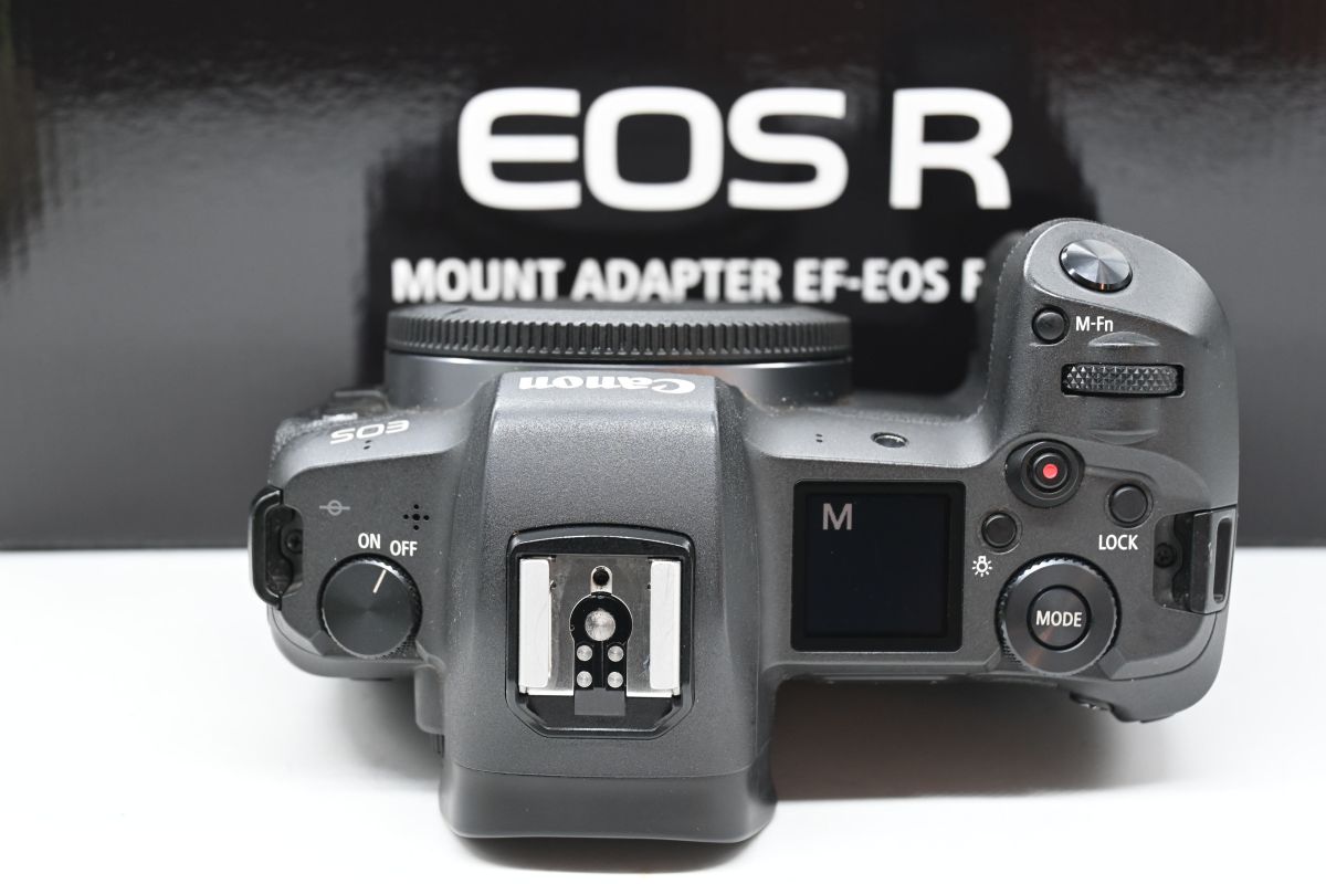 Canon EOS R Corpo