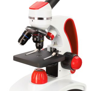 Microscopi Discovery Pico
