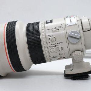 Canon EF 300mm f/2.8 L